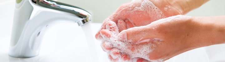 Hand Soap and Deodorizer